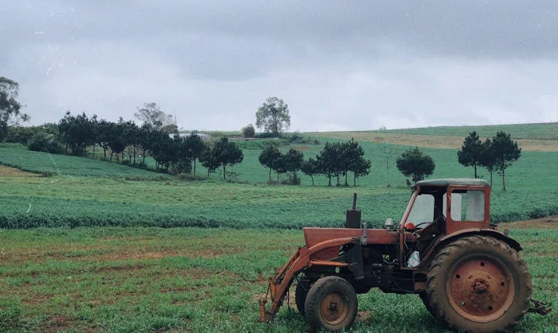 Zapach, który zmienił wszystko – historia o tajemnicy pod polskim dachem