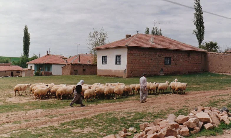 Zobaczyłam, jak mój narzeczony rozmawia z byłą żoną i dziećmi – wtedy zrozumiałam, że nie chcę takiego szczęścia