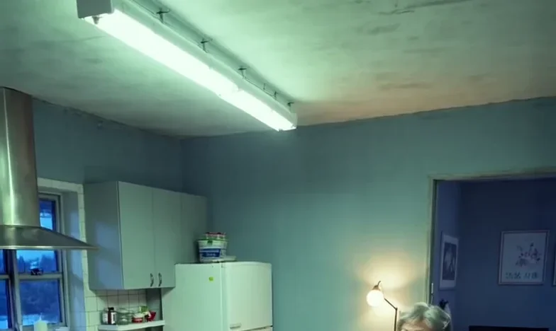 我好像變成了這個家的背景