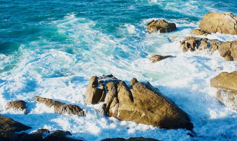 Ko je račun za poroko prispel: Cena ljubezni