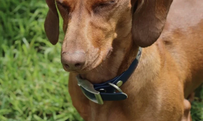 Ko je vera edino zatočišče: Moja bitka s taščo v času moževe odsotnosti