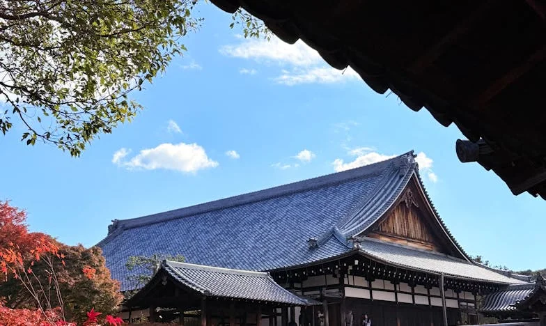 Med dvema očetoma: Moja odločitev na najpomembnejši dan v življenju