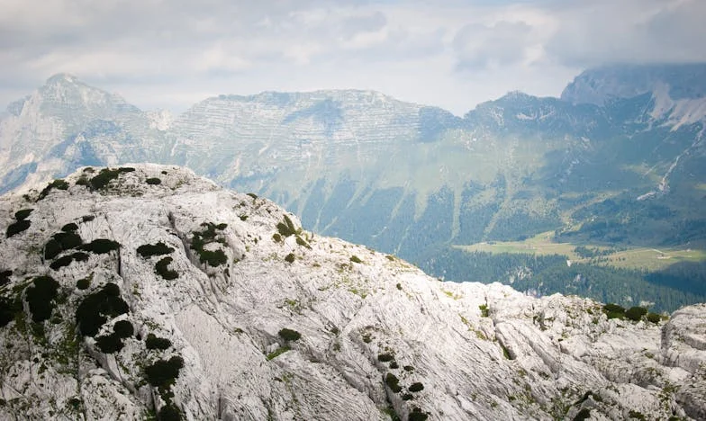 Obljuba, ki je razklala našo družino: Med bratovo avtomobilsko željo in mojo tiho bolečino