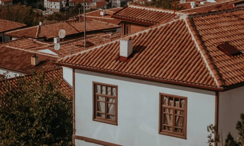 Trideset let ljubezni, ena noč skrivnosti: Zgodba Ele