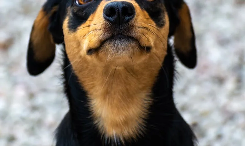 Zaprta vrata: Ko postaneš tujec v lastni družini