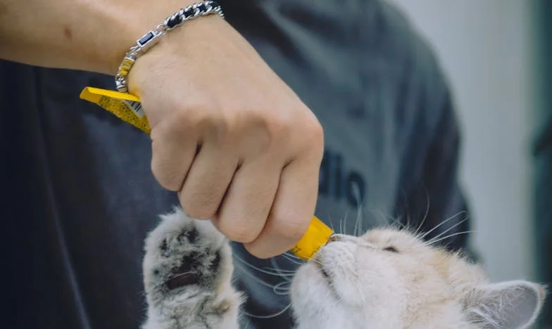 Ali sem bila slaba mama, ker sem ju prosila, naj gresta?