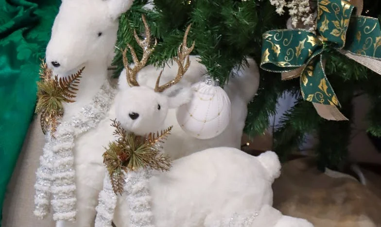 Babičina hiša, mamina pravila: Bitka za svobodo pod domačo streho