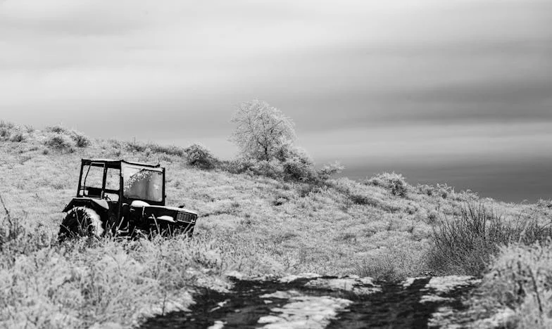 Božična miza, polna tišine: Kako sem se uprla pričakovanjem tašče