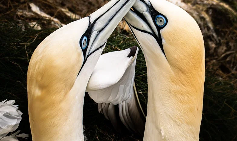 Ena noč na policijski postaji: Kako me je materinska skrb za vedno spremenila