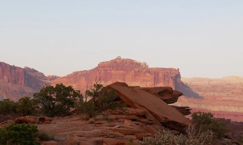 Izgnala sem moža in taščo iz svojega stanovanja – in ne obžalujem!
