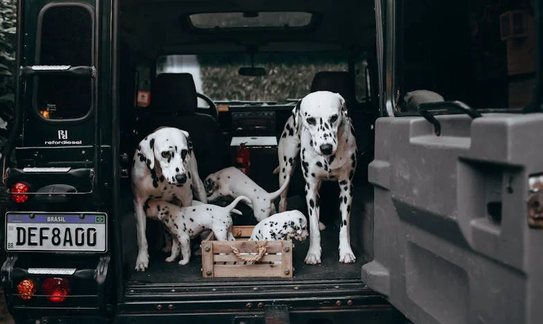 Izgnana zaradi nosečnosti: Ko so me po desetih letih prosili za pomoč