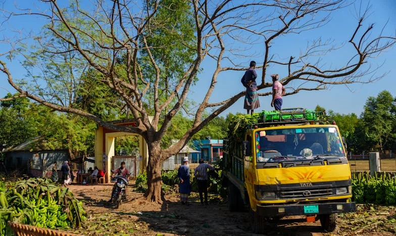 Ko babica potrka na vrata: Med ljubeznijo in razpadom družine