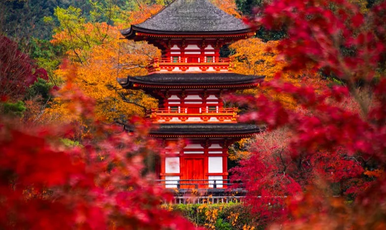 Ko igra postane vojna: Kako je otroška igra razdrla moje prijateljstvo z Nino