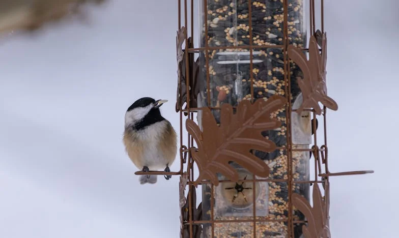 Ko je Marko rekel, da potrebuje premor: Zgodba o materinstvu, osamljenosti in iskanju razumevanja