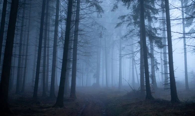 Ko ljubezen ni dovolj: Zgodba o izgubljeni vnukinji in razpadajoči družini