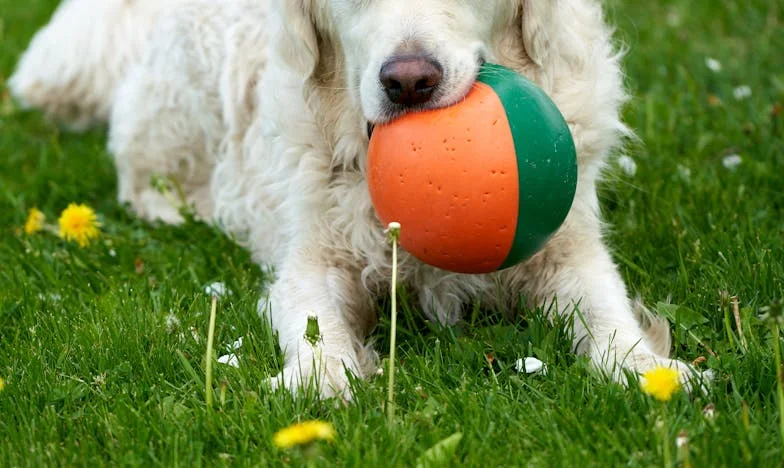 Ko ljubezen postane okov: Moj beg iz domače hiše