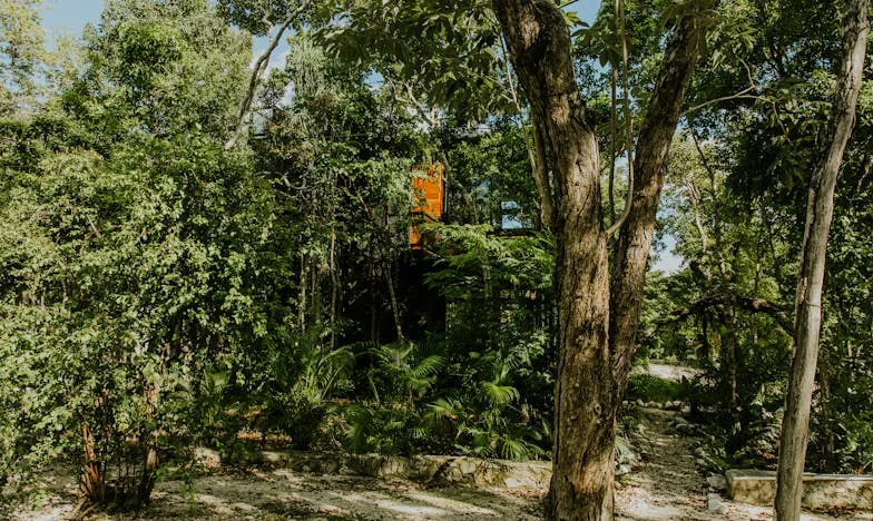 Ko resnica razbije tišino: Moje življenje med prevarami, žrtvami in ponovnim rojstvom