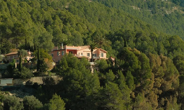 Ko se smeh spremeni v tišino: Moj sin, šala in resnica