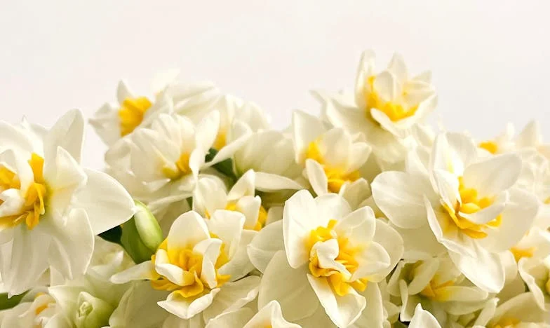 Ko se v eno garsonjero stisne preveč sanj: Moj boj za dih v utesnjenem zakonu