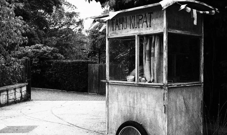 Ko sem morala spakirati kovčke: Kako sem se borila za svoj dom in družino