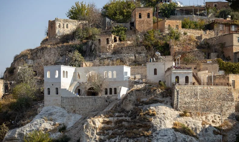 Ko srce ostane samo: Zgodba o moji sestri in izgubljeni družini