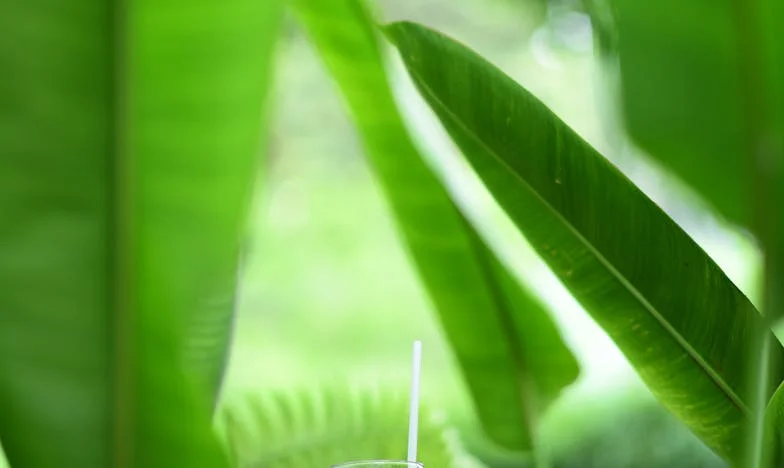 Ko zvonec zazvoni: Vrnitev v vas in soočenje s preteklostjo