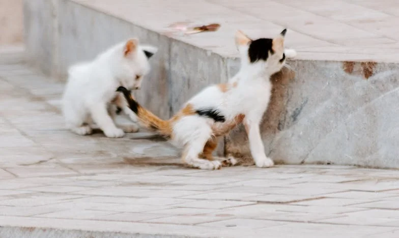 Med dvema ognjema: Življenje z mamo, ki ne zna spustiti preteklosti