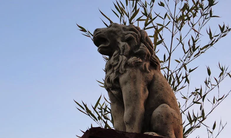 Med ljubeznijo in dediščino: Družinska drama v srcu Ljubljane