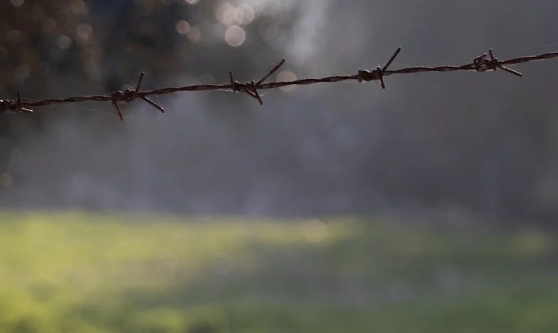 „Mislila sem, da ji pomagam, zdaj pa sem le še njena varuška, kuharica in denarnica” – Izpoved upokojene mame