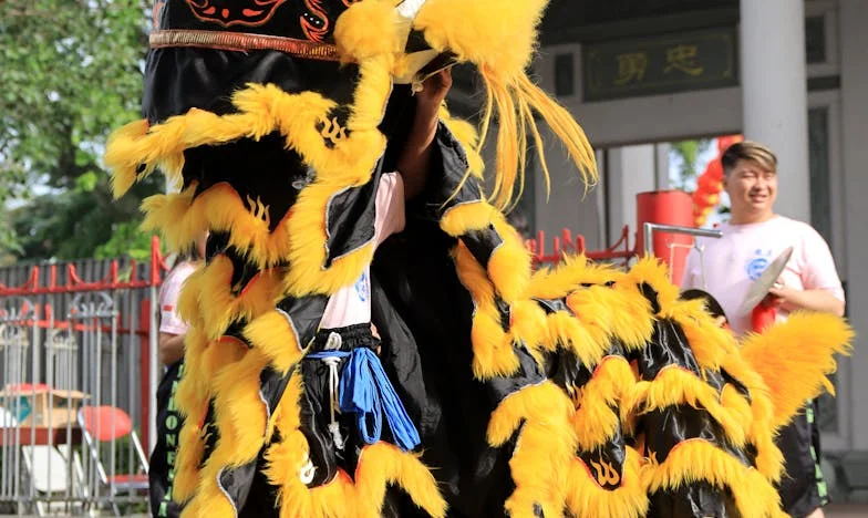 Nevidna meja: Moja bitka s taščo v našem domu