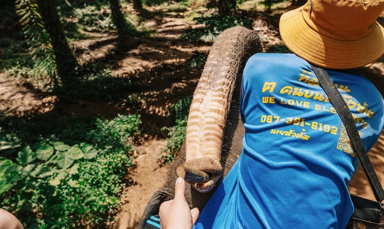 Nikoli nisem povedala mami, da sem noseča: Družinska dediščina in neizrečene besede