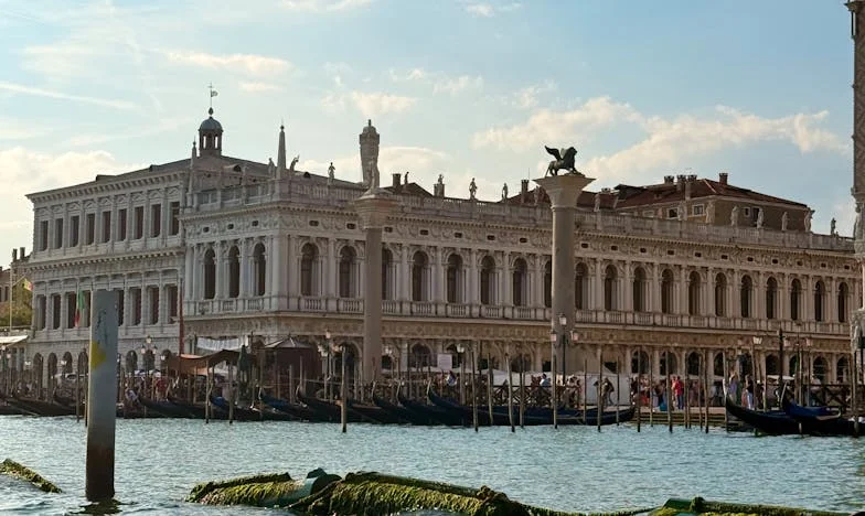 Nikoli nisem razumela, zakaj mama kuha za mojega moža: Ena noč je razkrila resnico