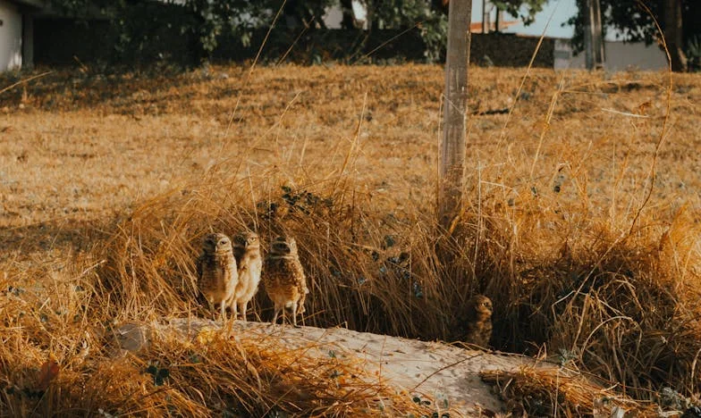 Nikoli nisem smela povedati mami, da sem noseča – Dediščina, ki je vse spremenila