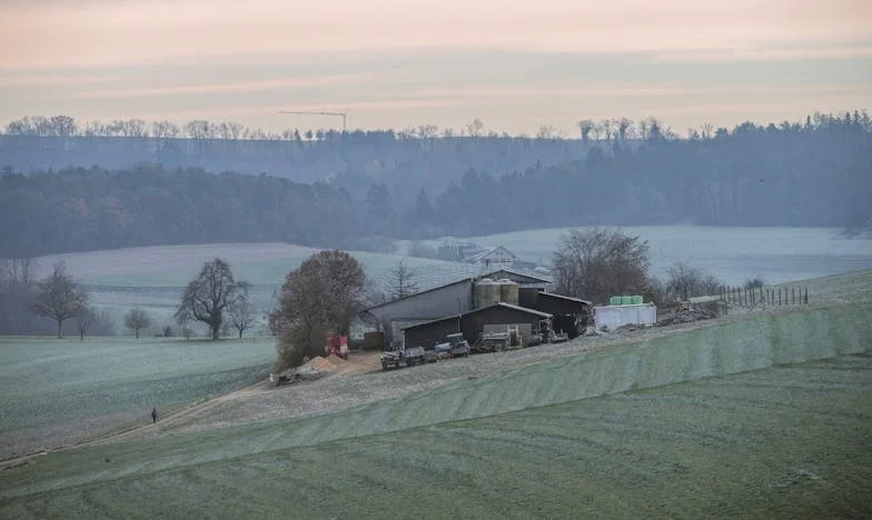 „Nočem več tukaj živeti!” – Kako je tašča razdrla našo družinsko srečo