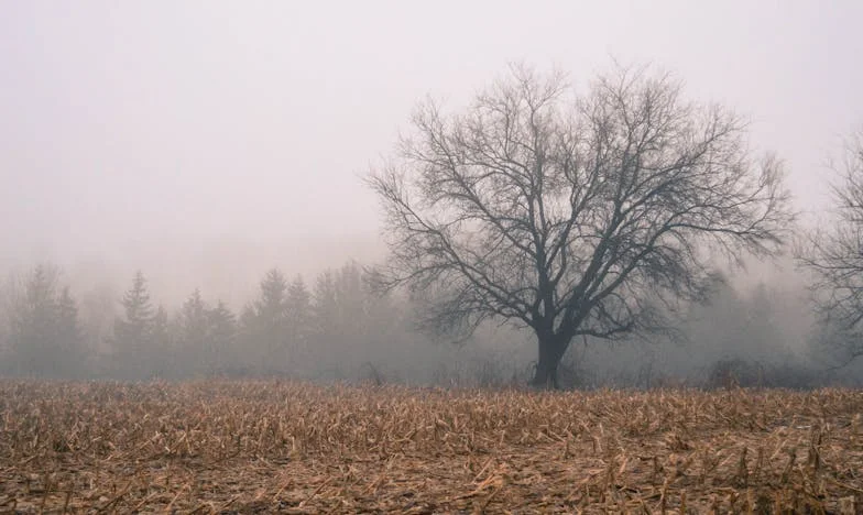 Otrok na pragu: Zgodba o ljubezni, skrivnostih in odpuščanju