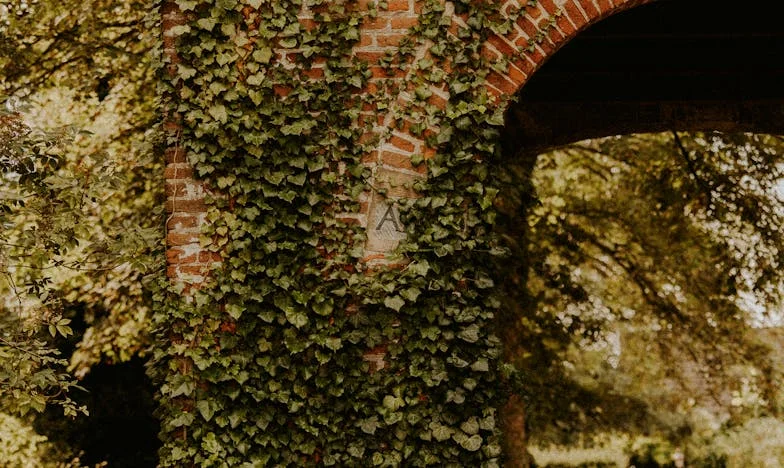 Pol hiše za sina, pol srca zase: Ko postaneš odvečen v lastnem domu