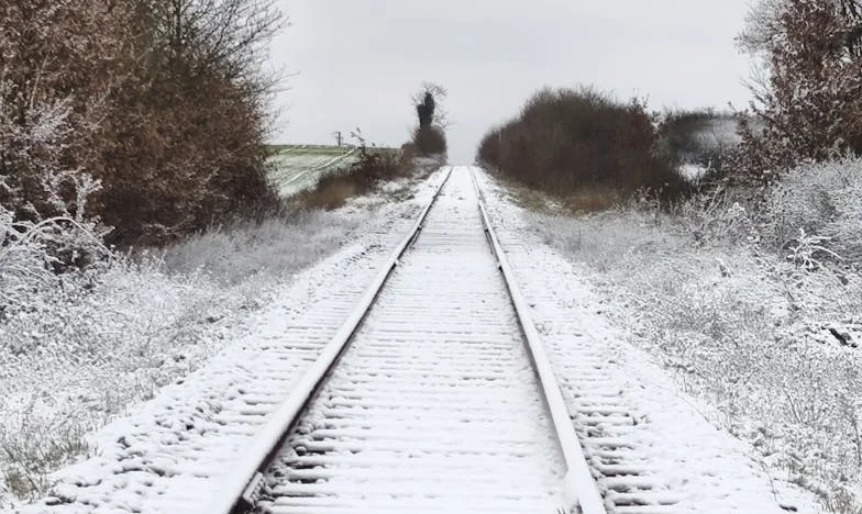 Prevarana s strani lastne matere: Kako sem odkril, da mi je mama ukradla dediščino