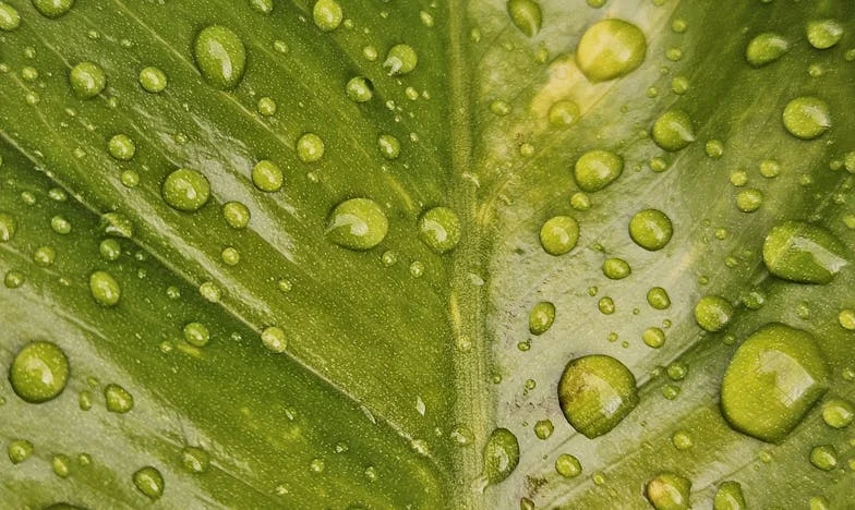 S kovčkom in dvema otrokoma v noči: Moj novi začetek v Sloveniji