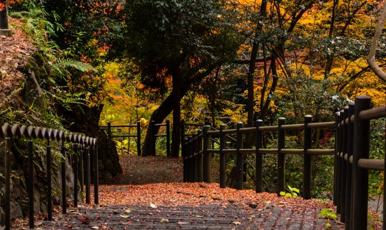 „Saj bo le družina, a včasih je en burger preveč” – Kako me je ena prošnja sestre naučila reči NE