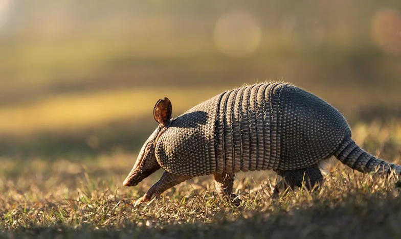 Škarje v mojem srcu: Borba matere za dostojanstvo sina