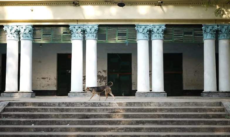 Slepa za resnico: Ko sem padla na tla, sem končno spregledala