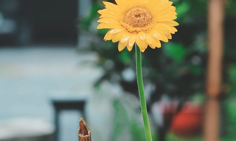 Stanovanje, ki ga ne smem imeti: Bitka med materjo in hčerko