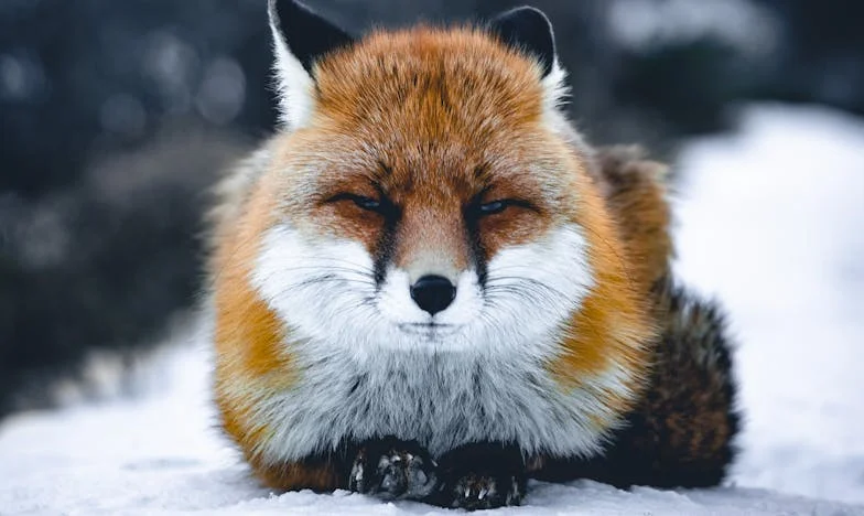 Stanovanje, ki mi je ostalo po starših, in družina, ki mi je ostala po stanovanju