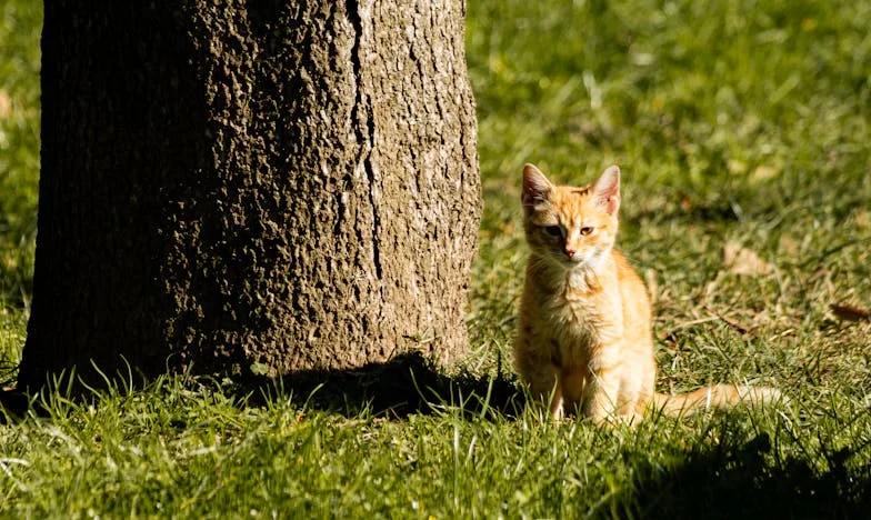 „Torej je odločeno, vzamemo kredit.” – Ena odločitev, ki je spremenila vse