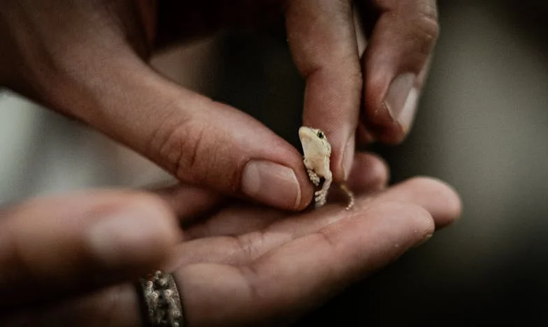 V eni sobi s tremi vnuki in četrtim na poti: Ko življenje ne vpraša, če si pripravljen