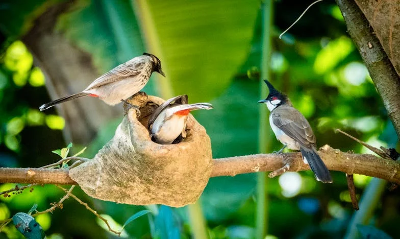 Vlak v Novo mesto: Ko sočutje prevesi tehtnico