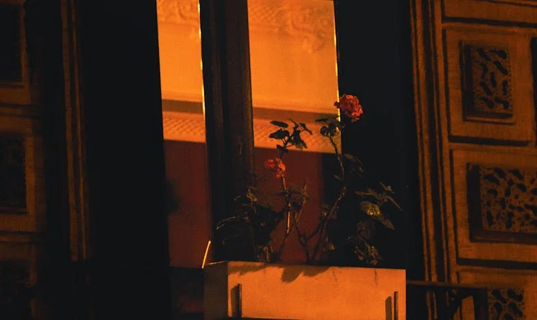 Vse sem dal za hčerko, zdaj pa nimam niti postelje