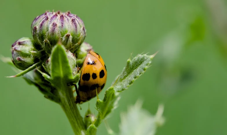 Za vse boljše: Zgodba materinega srca