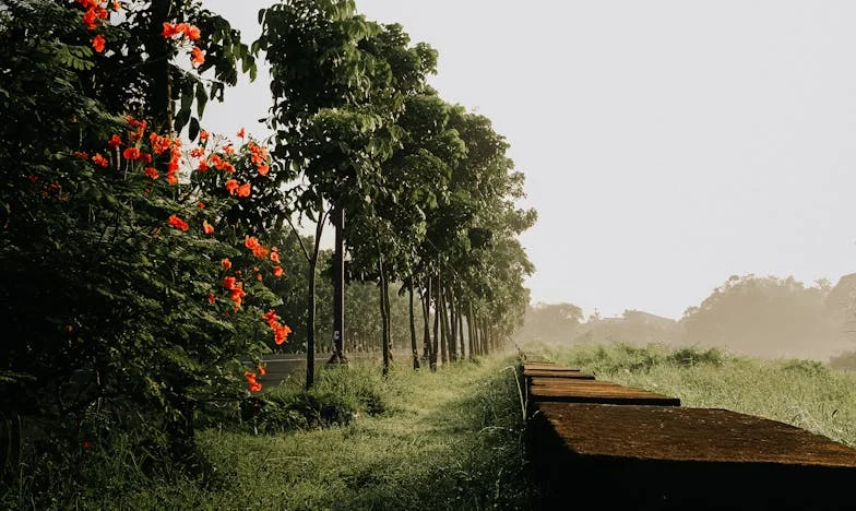 Za zaklenjenimi vrati: Življenje v senci tašče