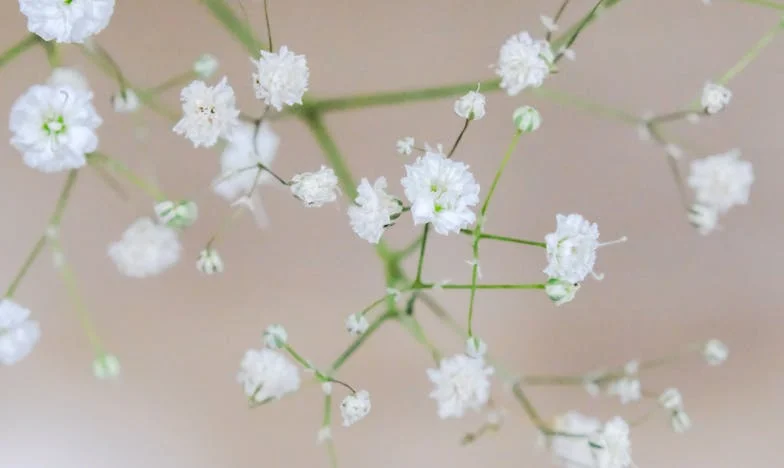 Zavrnila sem varstvo vnukinje: Zdaj sem izobčenka v lastni družini